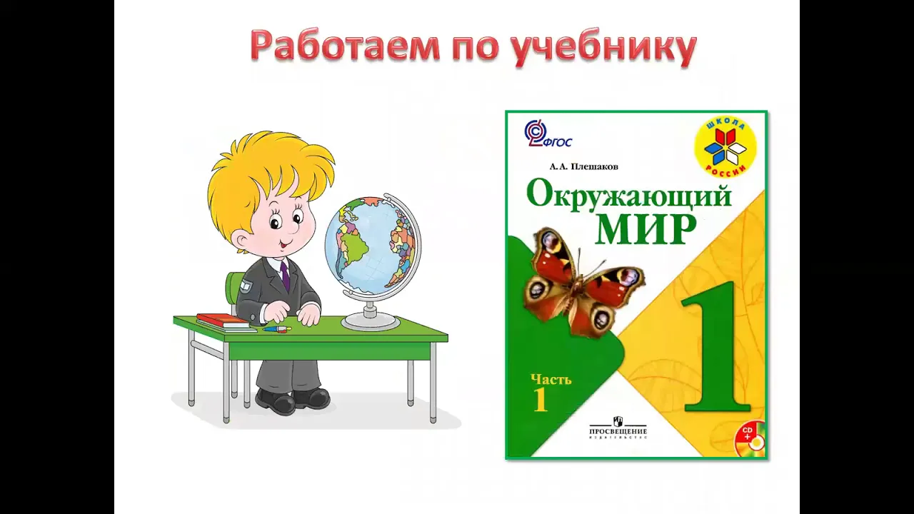 Что окружает нас дома?